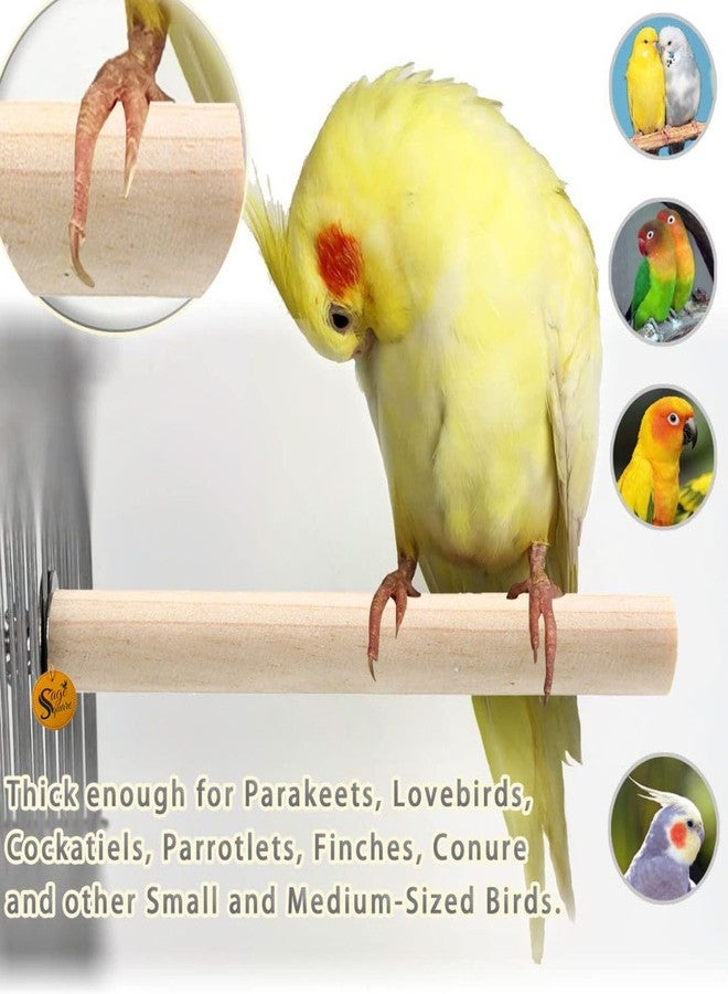 سايج سكوير مجموعة مجاثم طيور خشبية طبيعية مربعة الشكل من سيج - 4، 8، و10 بوصات | مثالية للتمرين واللعب والتدريب، وتحسين الأقفاص، والوقاية من مشاكل القدم | مناسبة للعصافير، والببغاوات، والبادجي، والكوكاتيل | عبوة من 3 قطع - Image 5